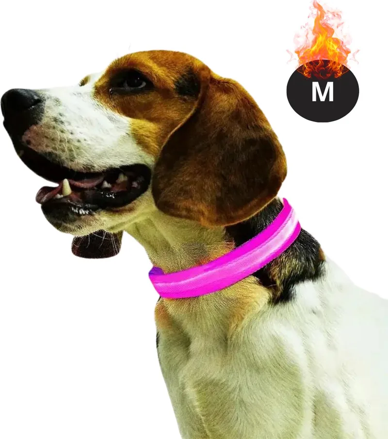 Lichtgevende Halsband - Verlichte Halsband - Lichtgevend - Hond - Kat - Lampje - Hondenhalsband Led - Oplaadbaar - Glow In The Dark - M de Nivard en Rose – photo produit
