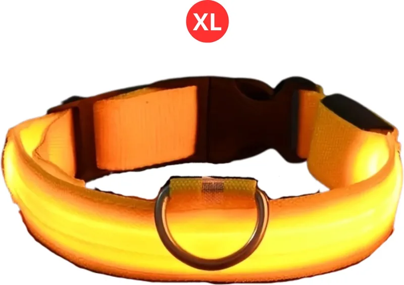 Lichtgevende Halsband - Verlichte Halsband - Lichtgevend - Hond - Kat - Lampje - Hondenhalsband Led - Nekband - XL von Nivard in Gelb – Produktfoto