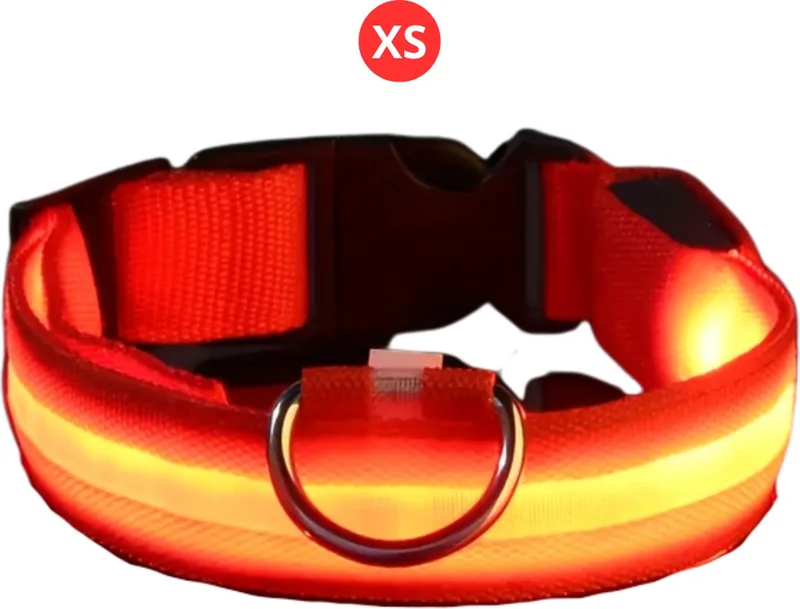Lichtgevende Halsband - Verlichte Halsband - Lichtgevend - Hond - Kat - Lampje - Hondenhalsband Led - Nekband - XS de Nivard en Rouge – photo produit