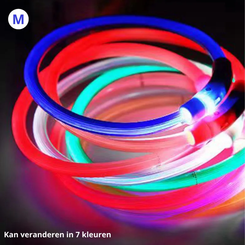 Lichtgevende Halsband - Verlichte Halsband - Lichtgevend - Hond - Kat - Lampje - Hondenhalsband Led - Oplaadbaar - L de Nivard en Gemengde Kleuren – photo produit