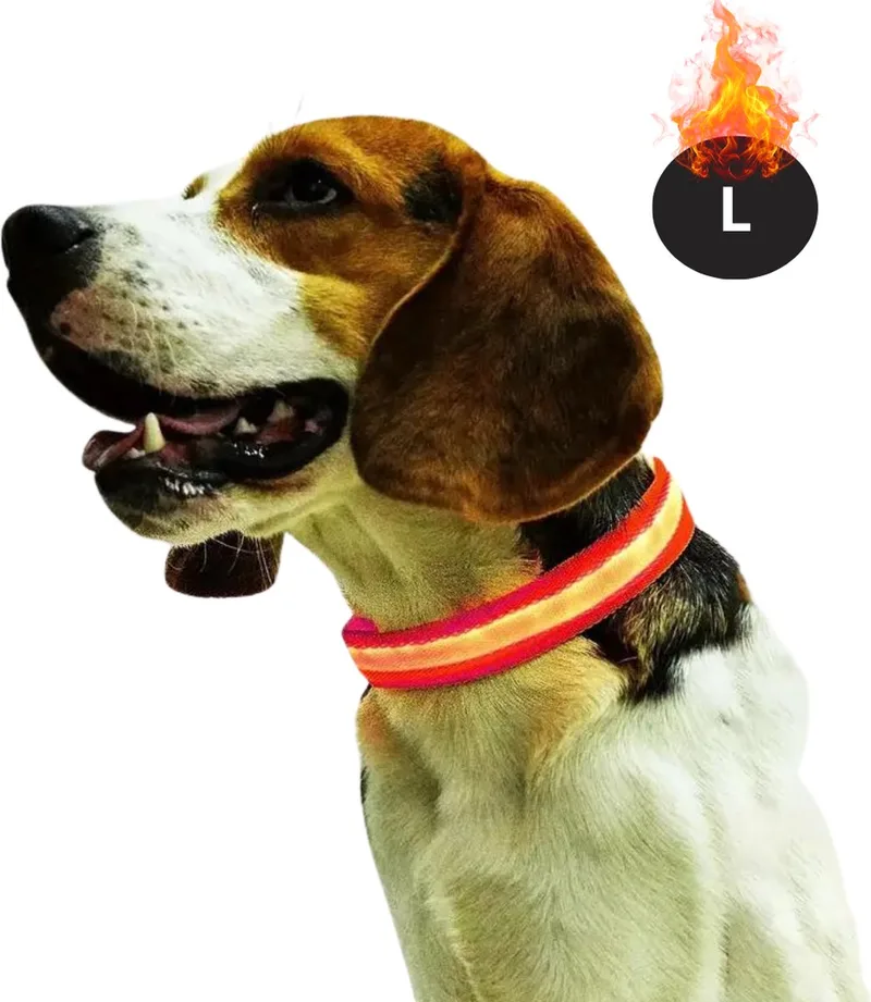 Lichtgevende Halsband - Verlichte Halsband - Lichtgevend - Hond - Kat - Lampje - Hondenhalsband Led - Oplaadbaar - Glow In The Dark - Rood - L by Nivard – product photo