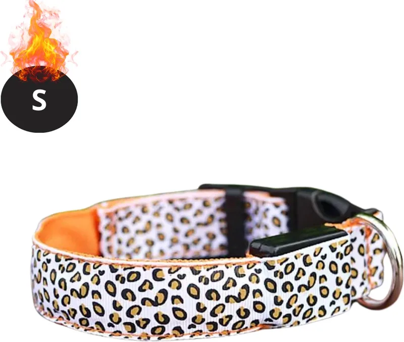 Lichtgevende Halsband - Verlichte Halsband - Lichtgevend - Hond - Kat - Lampje - Hondenhalsband Led - Oplaadbaar - Oranje - S fra Nivard – produktbillede
