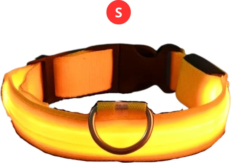 Lichtgevende Halsband - Verlichte Halsband - Lichtgevend - Hond - Kat - Lampje - Hondenhalsband Led - Nekband - S by Nivard in Yellow – product photo