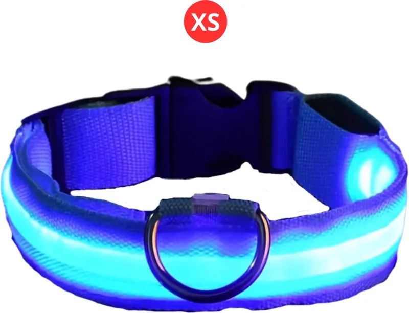 Lichtgevende Halsband - Verlichte Halsband - Lichtgevend - Hond - Kat - Lampje - Hondenhalsband Led - Nekband - XS von Nivard in Blau – Produktfoto