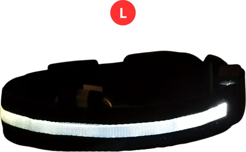 Lichtgevende Halsband - Verlichte Halsband - Lichtgevend - Hond - Kat - Lampje - Hondenhalsband Led - Nekband - L von Nivard in Weiß – Produktfoto