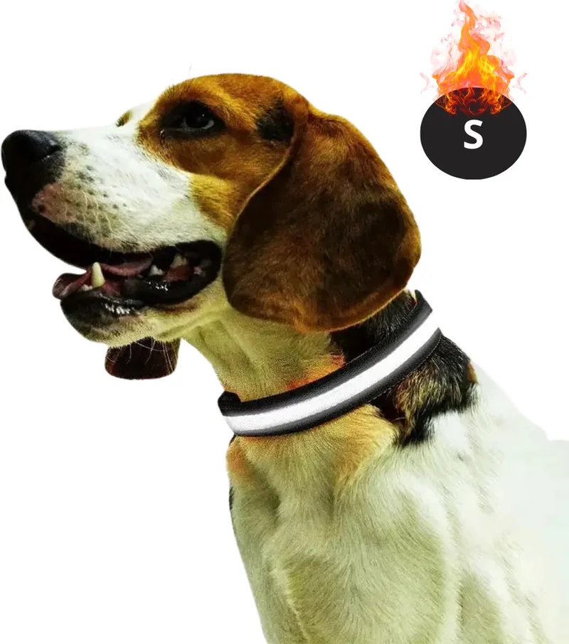 Lichtgevende Halsband - Verlichte Halsband - Lichtgevend - Hond - Kat - Lampje - Hondenhalsband Led - Oplaadbaar - Glow In The Dark - Zwart - S by Nivard – product photo