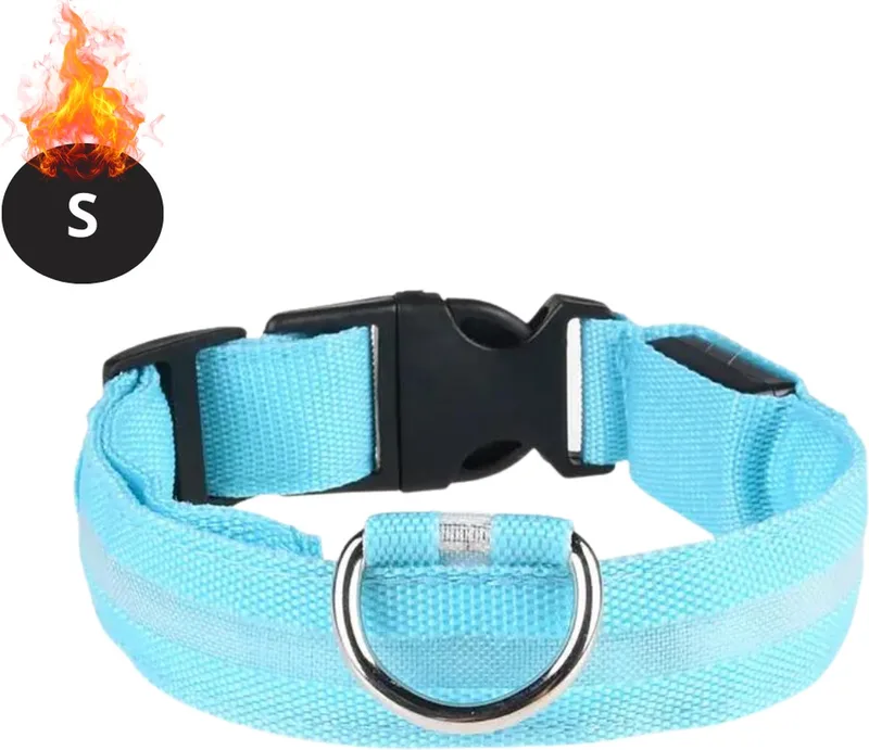 Lichtgevende Halsband - Verlichte Halsband - Lichtgevend - Hond - Kat - Lampje - Hondenhalsband Led - S by Nivard in Blue – product photo