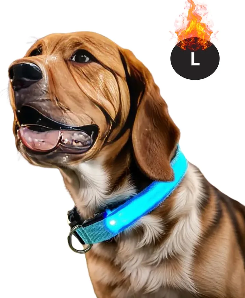 Lichtgevende Halsband - Verlichte Halsband - Lichtgevend - Hond - Kat - Lampje - Hondenhalsband Led - Oplaadbaar - Glow In The Dark - L by Nivard in Blue – product photo