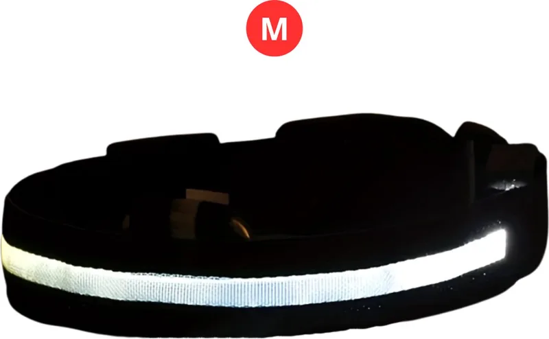 Lichtgevende Halsband - Verlichte Halsband - Lichtgevend - Hond - Kat - Lampje - Hondenhalsband Led - Nekband - M by Nivard in White – product photo