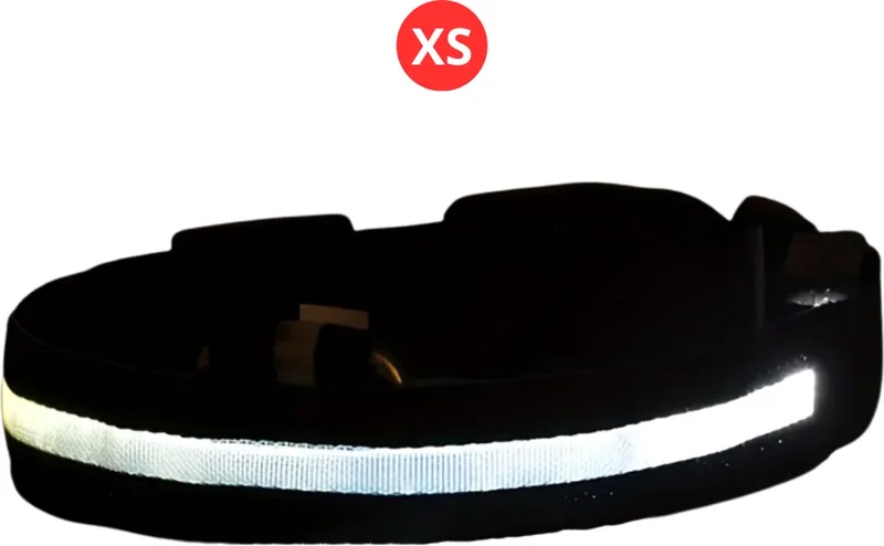 Lichtgevende Halsband - Verlichte Halsband - Lichtgevend - Hond - Kat - Lampje - Hondenhalsband Led - Nekband - XS de Nivard en Blanc – photo produit