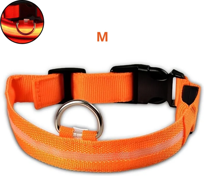 Lichtgevende Halsband - Verlichte Halsband - Lichtgevend - Hond - Kat - Lampje - Hondenhalsband Led - M fra Nivard i Orange – produktbillede