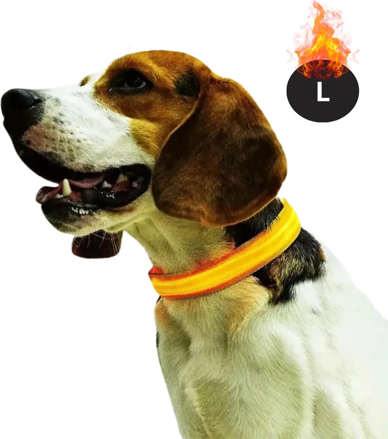 Lichtgevende Halsband - Verlichte Halsband - Lichtgevend - Hond - Kat - Lampje - Hondenhalsband Led - Oplaadbaar - Glow In The Dark - L fra Nivard i Gul – produktbillede