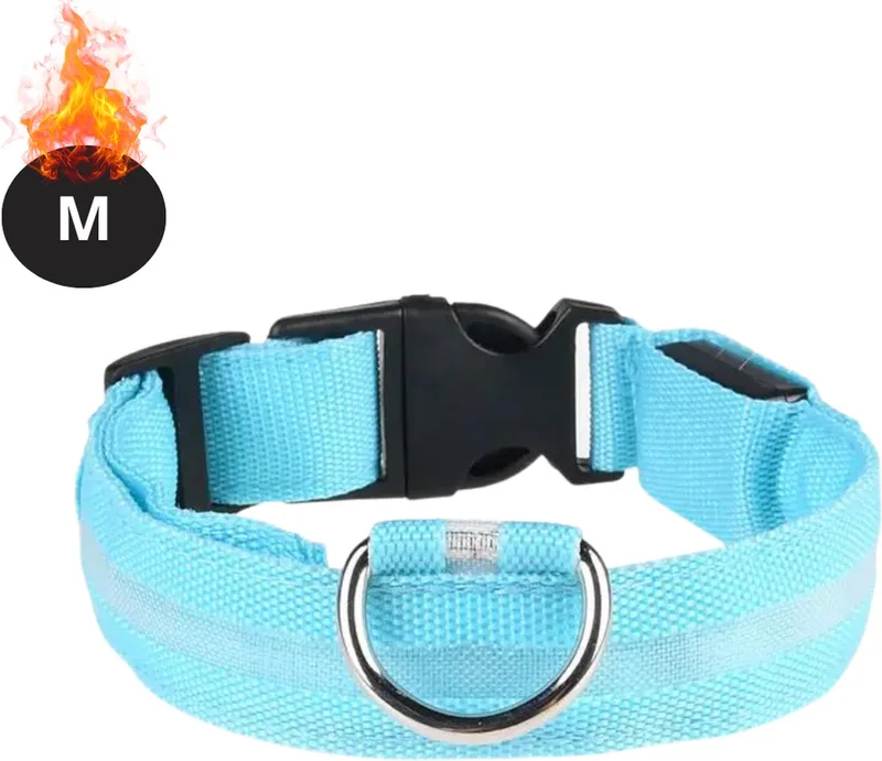 Lichtgevende Halsband - Verlichte Halsband - Lichtgevend - Hond - Kat - Lampje - Hondenhalsband Led - M de Nivard en Bleu – photo produit
