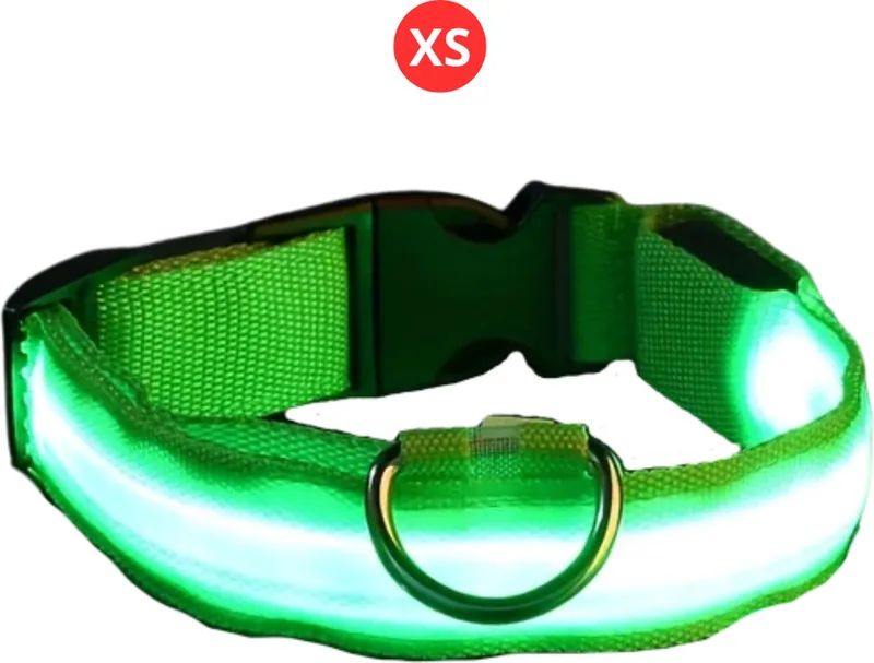 Lichtgevende Halsband - Verlichte Halsband - Lichtgevend - Hond - Kat - Lampje - Hondenhalsband Led - Nekband - XS by Nivard in Green – product photo