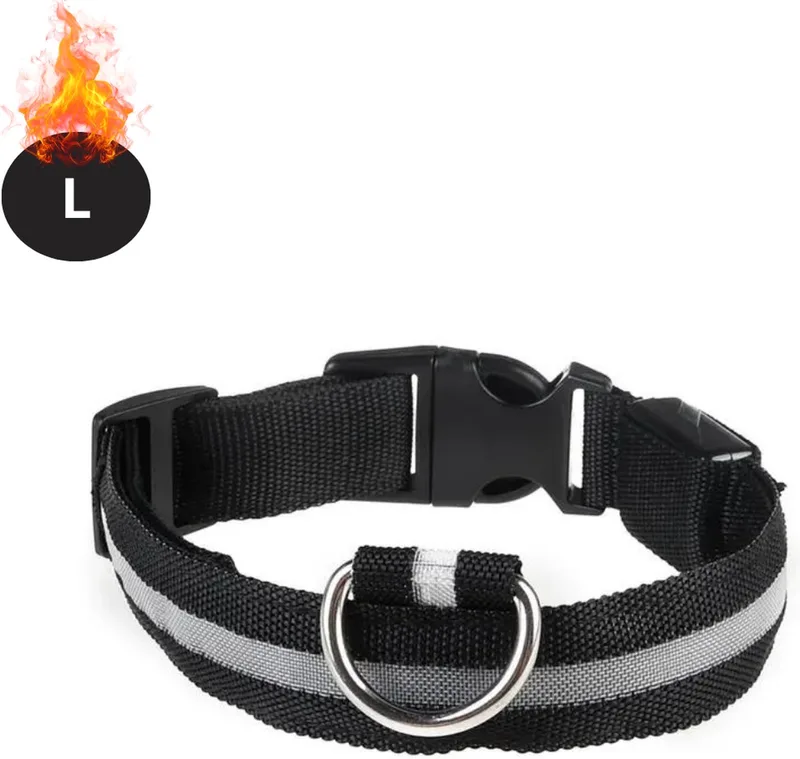 Lichtgevende Halsband - Verlichte Halsband - Lichtgevend - Hond - Kat - Lampje - Hondenhalsband Led - L de Nivard en Blanc – photo produit