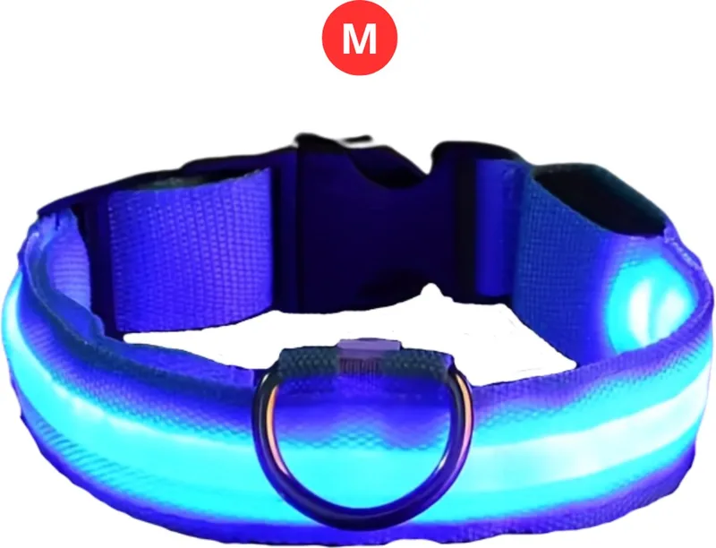 Lichtgevende Halsband - Verlichte Halsband - Lichtgevend - Hond - Kat - Lampje - Hondenhalsband Led - Nekband - M von Nivard in Blau – Produktfoto