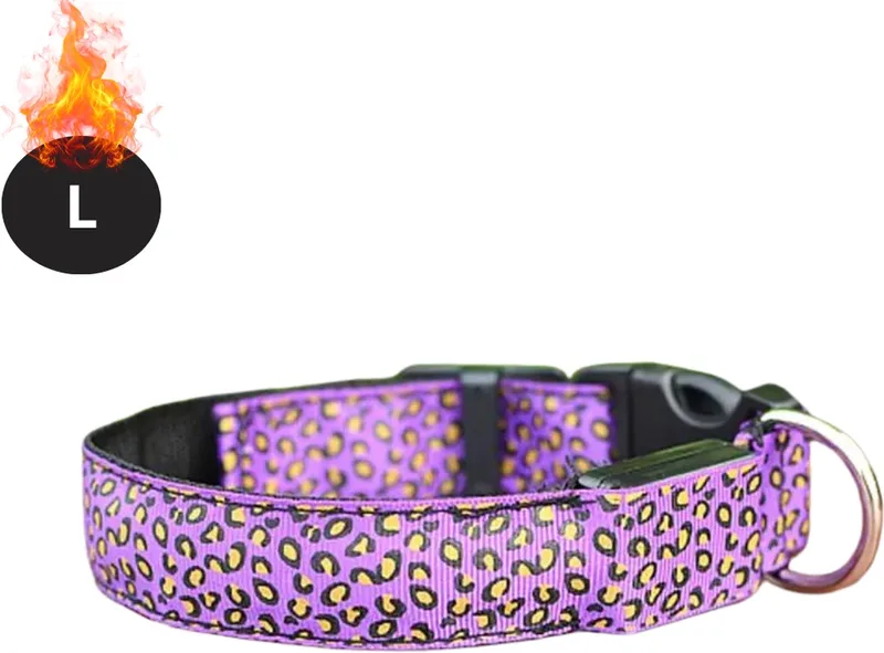 Lichtgevende Halsband - Verlichte Halsband - Lichtgevend - Hond - Kat - Lampje - Hondenhalsband Led - Oplaadbaar - Paars - L by Nivard – product photo