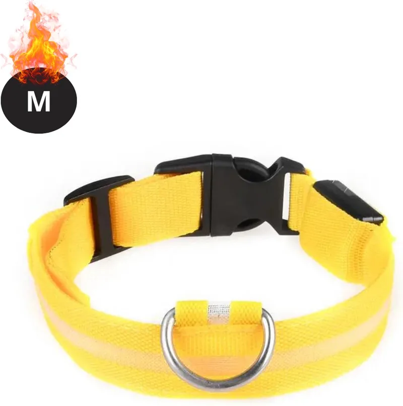 Lichtgevende Halsband - Verlichte Halsband - Lichtgevend - Hond - Kat - Lampje - Hondenhalsband Led - M von Nivard in Gelb – Produktfoto