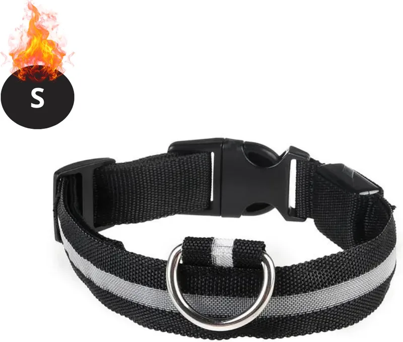 Lichtgevende Halsband - Verlichte Halsband - Lichtgevend - Hond - Kat - Lampje - Hondenhalsband Led - S by Nivard in White – product photo