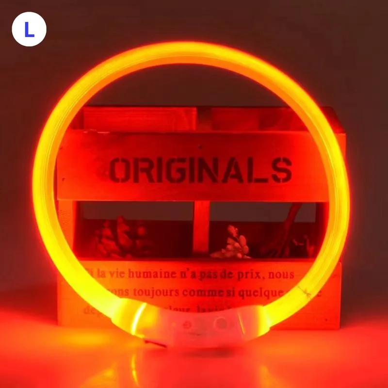 Lichtgevende Halsband - Verlichte Halsband - Lichtgevend - Hond - Kat - Lampje - Hondenhalsband Led - Oplaadbaar - L de Nivard en Orange – photo produit
