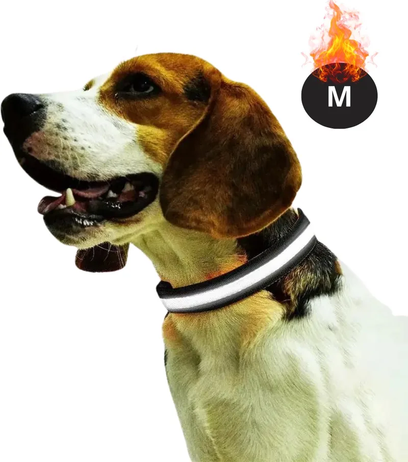 Lichtgevende Halsband - Verlichte Halsband - Lichtgevend - Hond - Kat - Lampje - Hondenhalsband Led - Oplaadbaar - Glow In The Dark - M fra Nivard i Sort – produktbillede