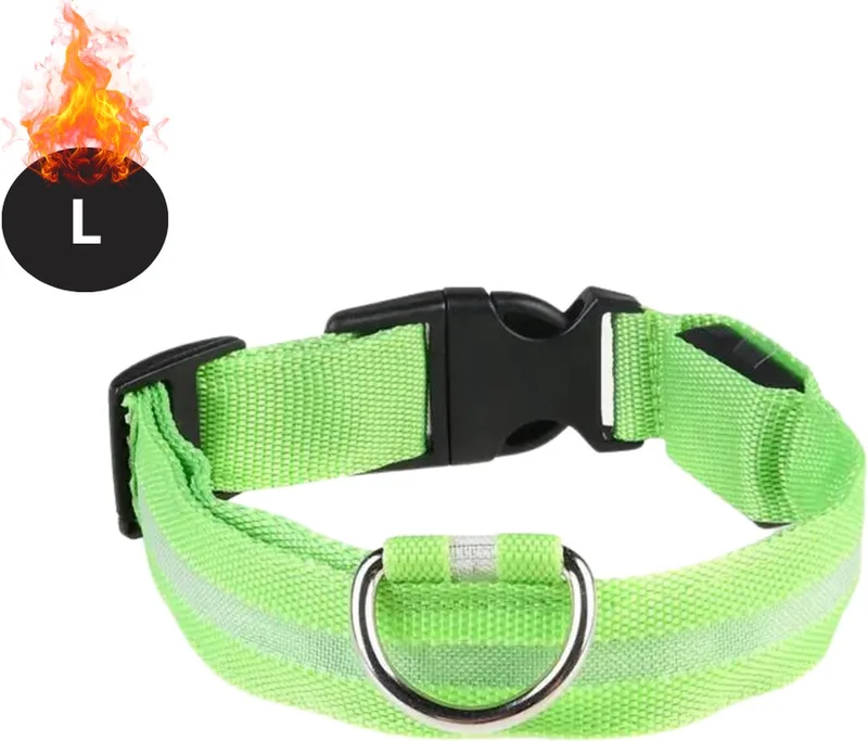 Lichtgevende Halsband - Verlichte Halsband - Lichtgevend - Hond - Kat - Lampje - Hondenhalsband Led - L by Nivard in Green – product photo