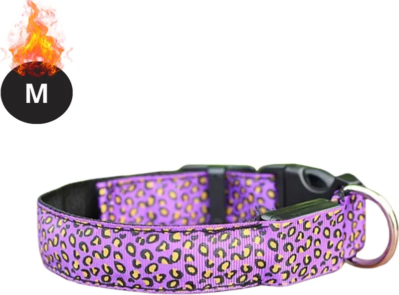 Lichtgevende Halsband - Verlichte Halsband - Lichtgevend - Hond - Kat - Lampje - Hondenhalsband Led - Oplaadbaar - Paars - M von Nivard – Produktfoto