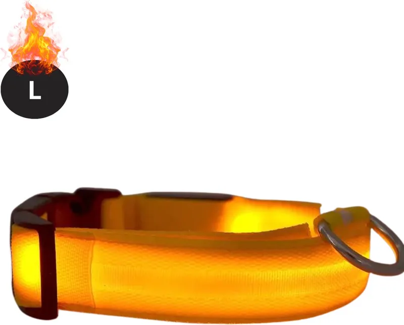 Lichtgevende Halsband - Verlichte Halsband - Lichtgevend - Hond - Kat - Lampje - Hondenhalsband Led - Oranje - L von Nivard – Produktfoto