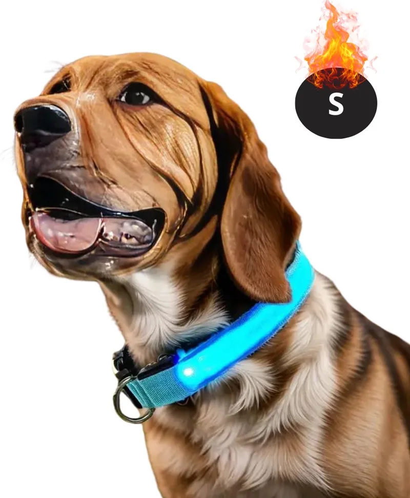 Lichtgevende Halsband - Verlichte Halsband - Lichtgevend - Hond - Kat - Lampje - Hondenhalsband Led - Oplaadbaar - Glow In The Dark - S de Nivard en Bleu – photo produit