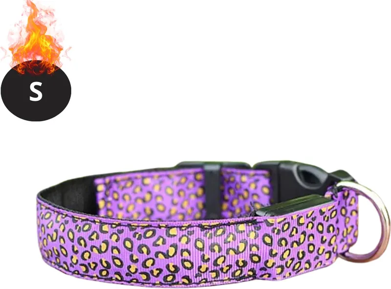 Lichtgevende Halsband - Verlichte Halsband - Lichtgevend - Hond - Kat - Lampje - Hondenhalsband Led - Oplaadbaar - Paars - S de Nivard en Jaune – photo produit