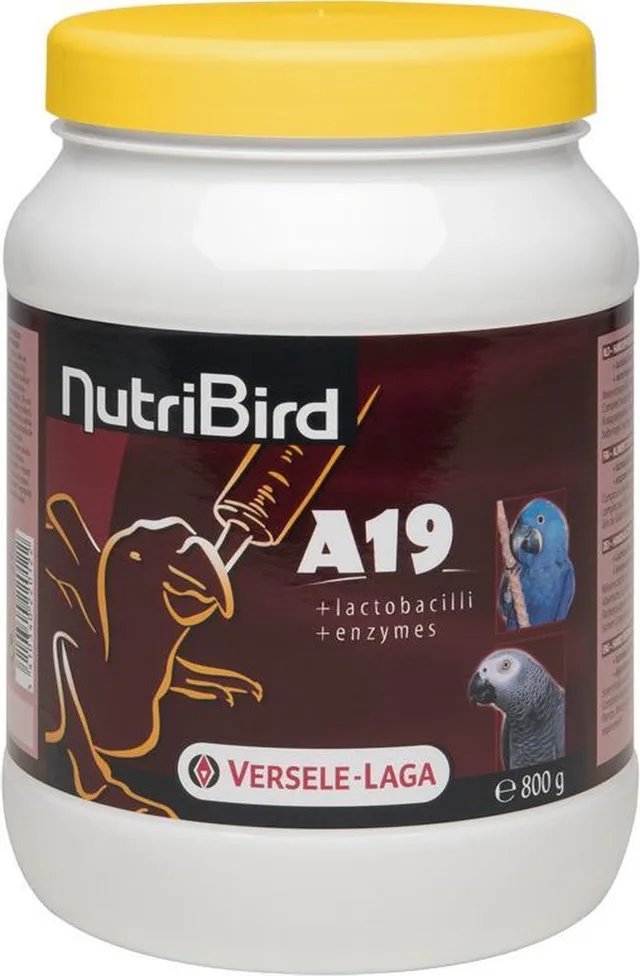 A19 Papegaai - 800 gr - Vogelvoer - Papegaaienvoer