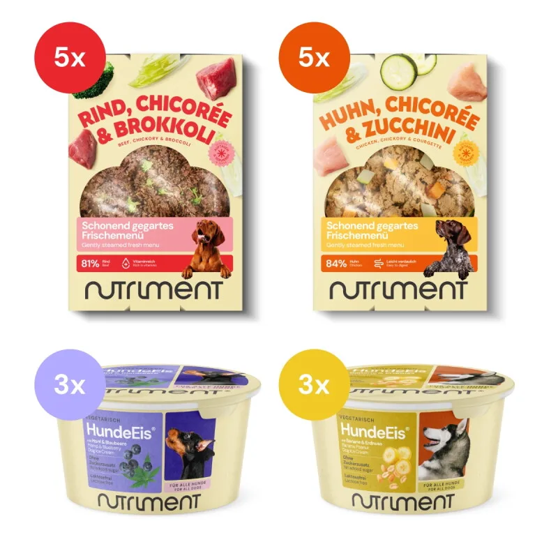 Frischemenü Hundefutter Rind & Huhn 10x400g + Hundeeis 6x90ml by Nutriment in Regular – product photo