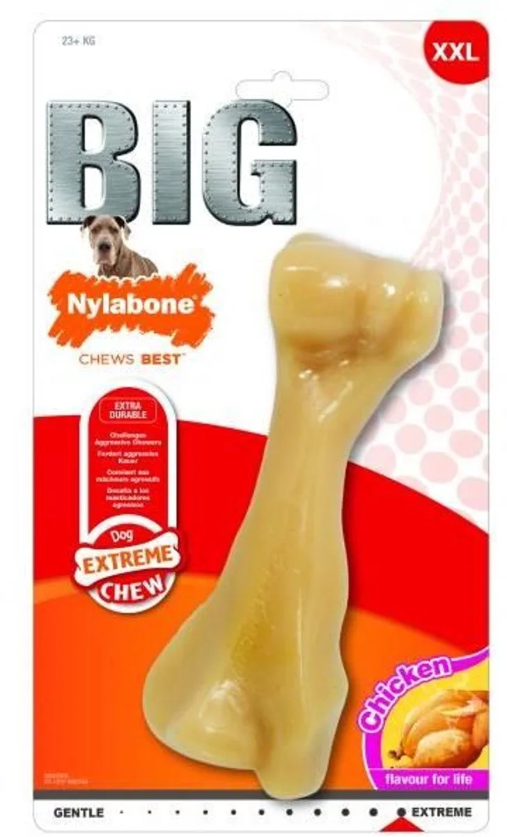 Big Chew kauwbot - kipsmaak - Hond Zwaarder dan 23 kg von Nylabone in Creme – Produktfoto