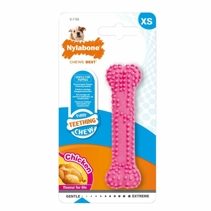 Dental Chew Hondenspeeltje by Nylabone – product photo
