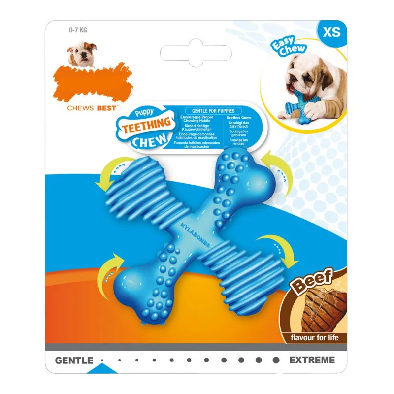 Kauspielzeug für Hunde von Nylabone in Regular – Produktfoto
