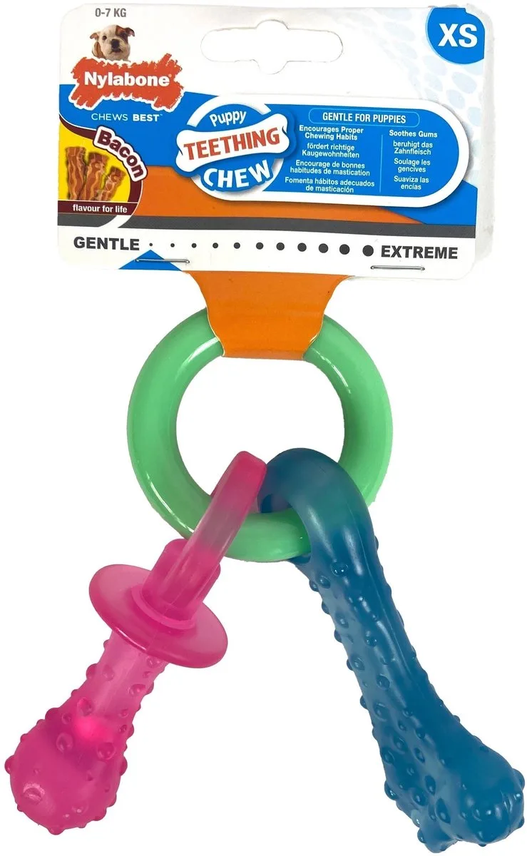 Welpenbeißring von Nylabone in Mehrfarbig – Produktfoto