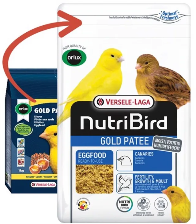 Gold Patee - Geel Eivoer - Vogelvoer