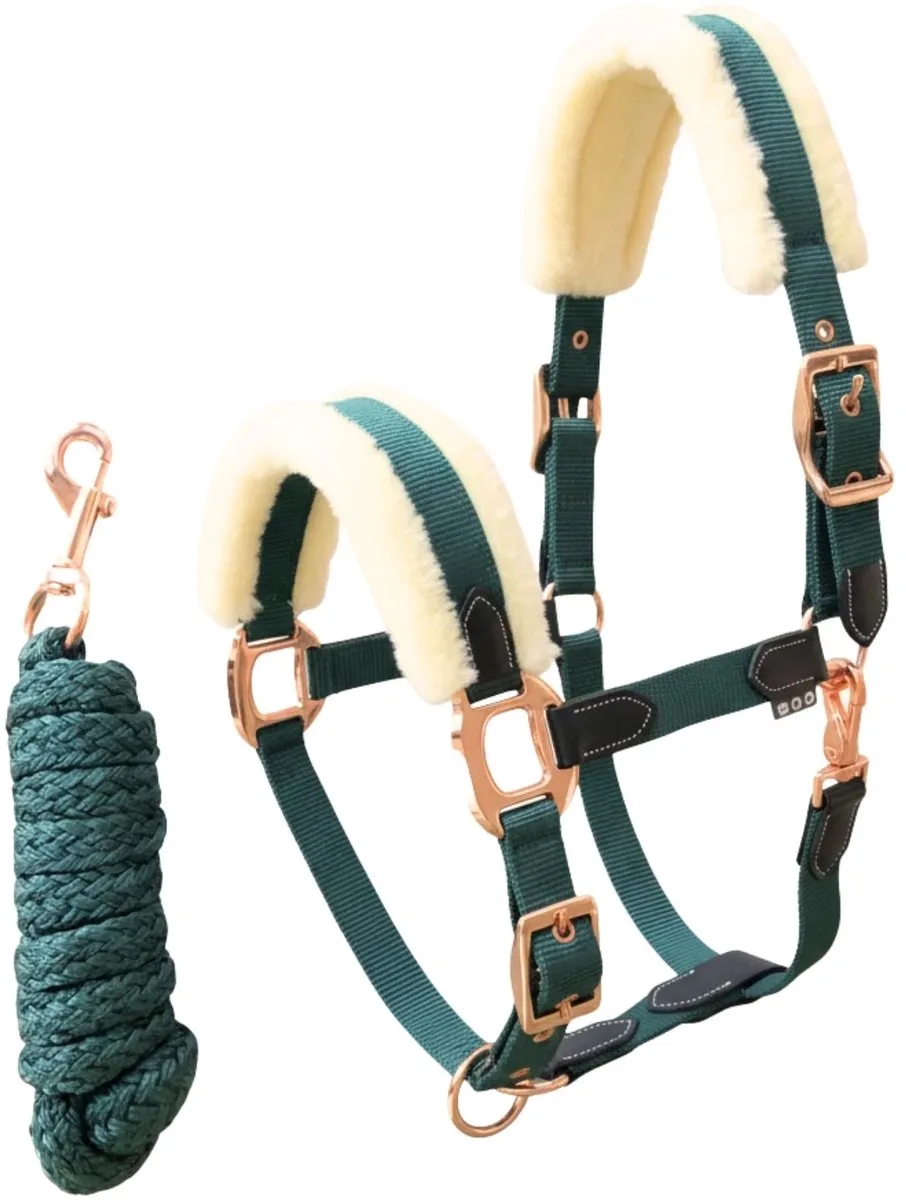 Acapulco Halsterset - Maat: Cob - Nylon by Pagony in Green – product photo