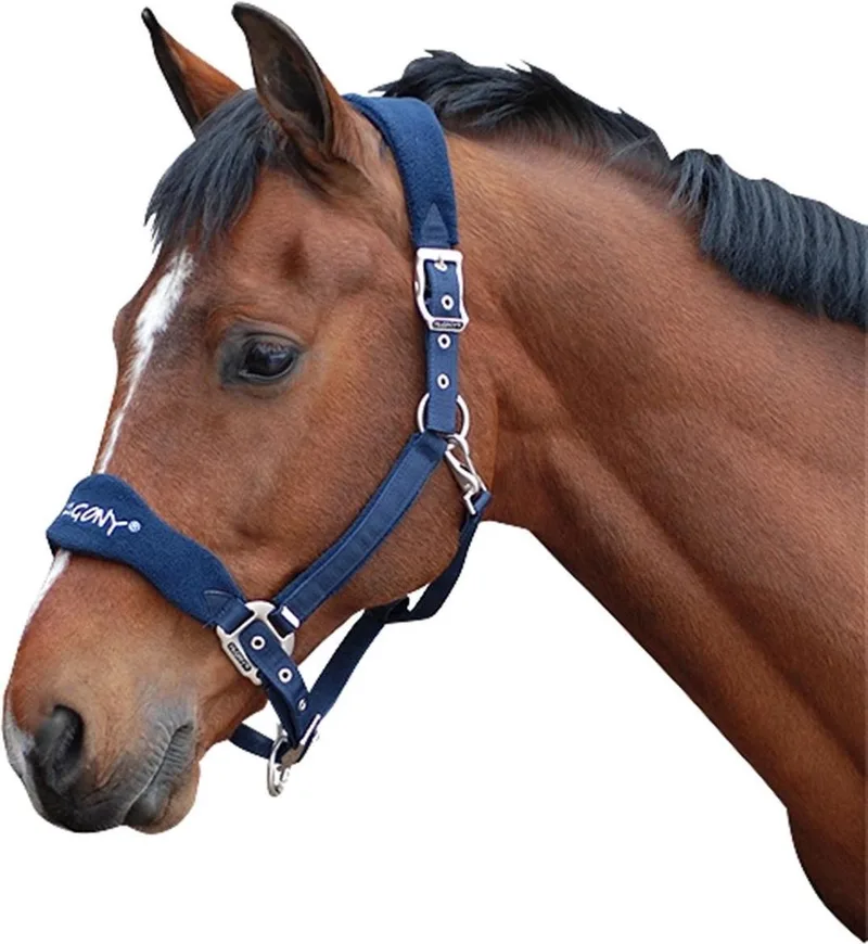 Halster Reno - Maat: Full - Nylon by Pagony in Dark blue – product photo