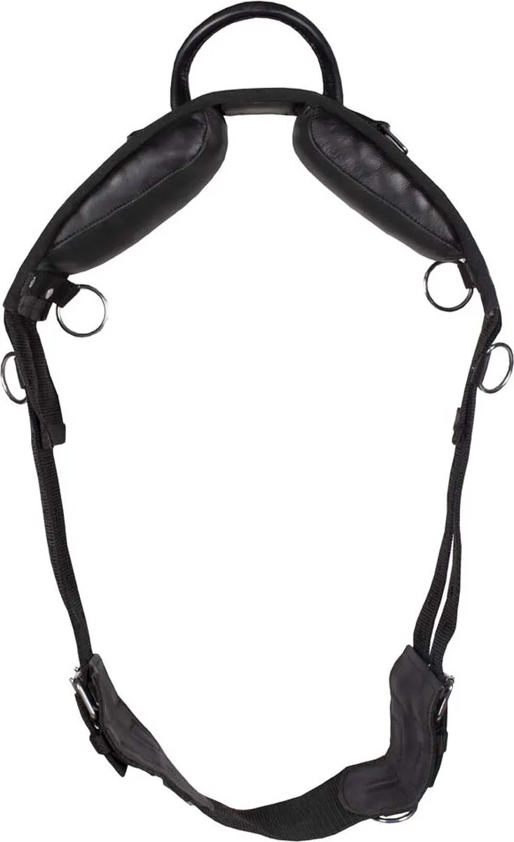 Longeersingel Met Handgreep - Maat: Pony - Kunstleer de Pagony en Noir – photo produit
