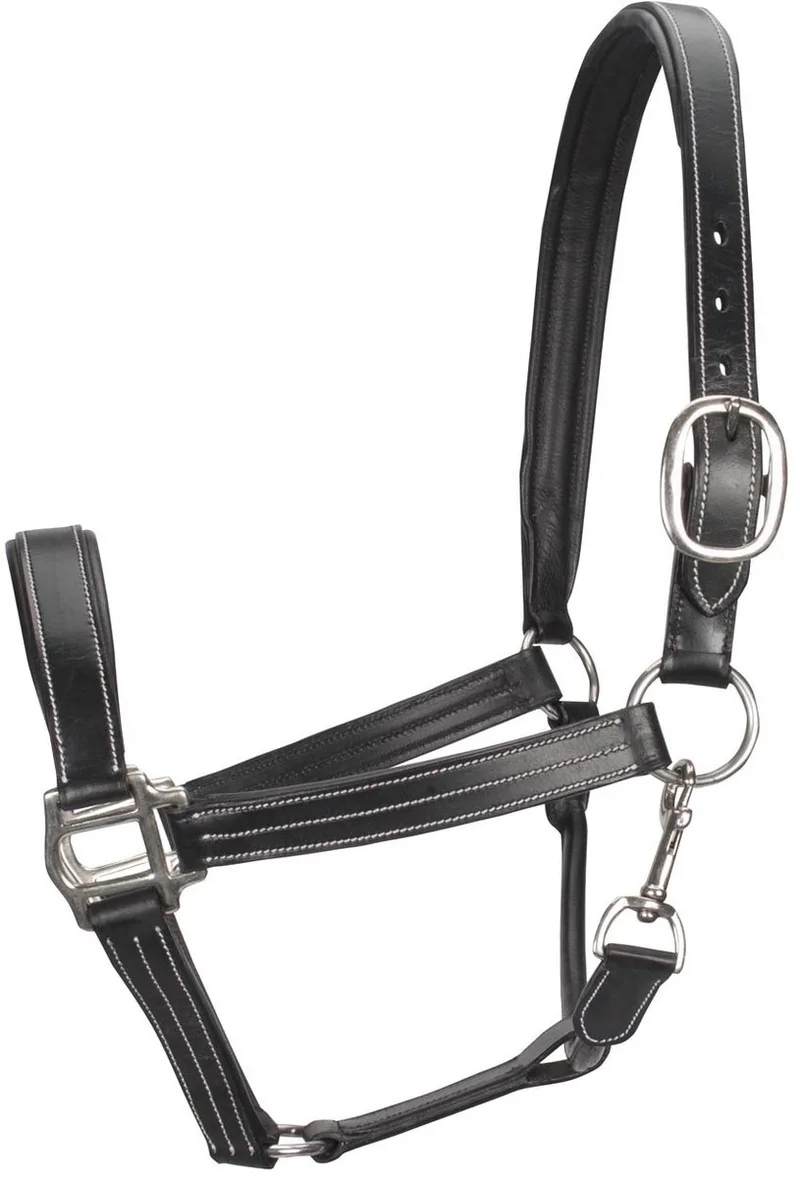 Monaco II Halster - Maat: Pony - Leer by Pagony in Black – product photo