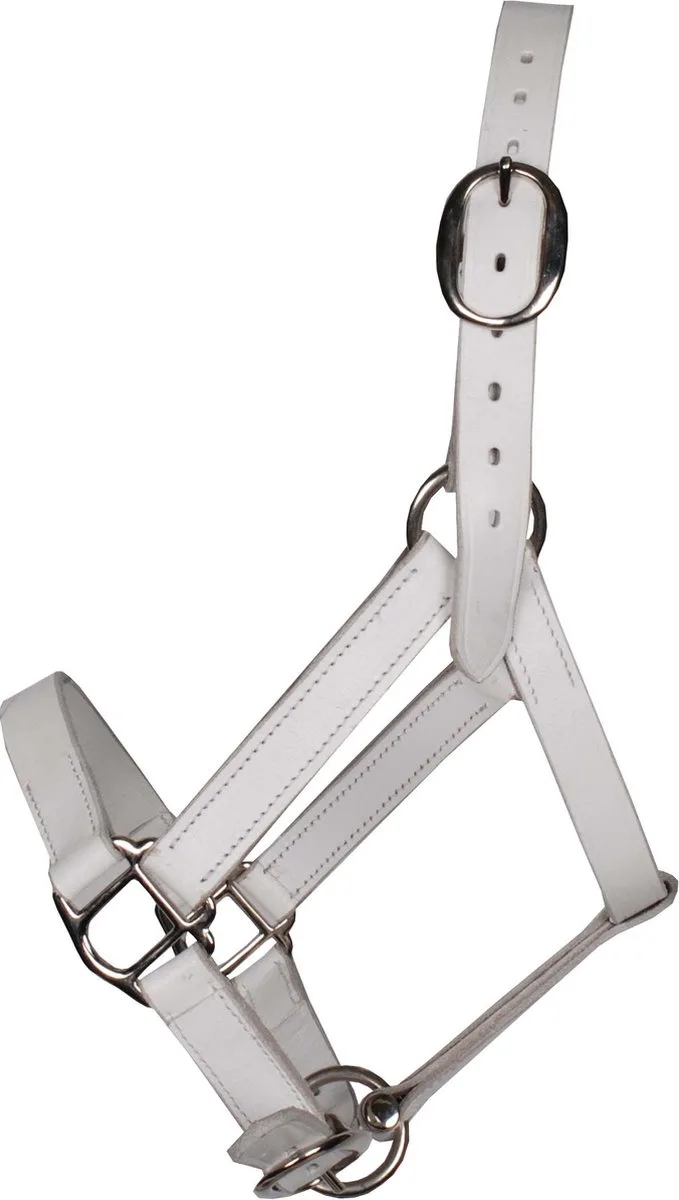 Shetland Breed Showhalster - Maat: Shetl - Polyamide by Pagony in White – product photo
