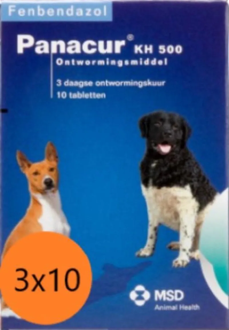 KH 500 |Ontwormingsmiddel| AANBIEDING 3x10 | Middel tot Grote Hond von Panacur – Produktfoto