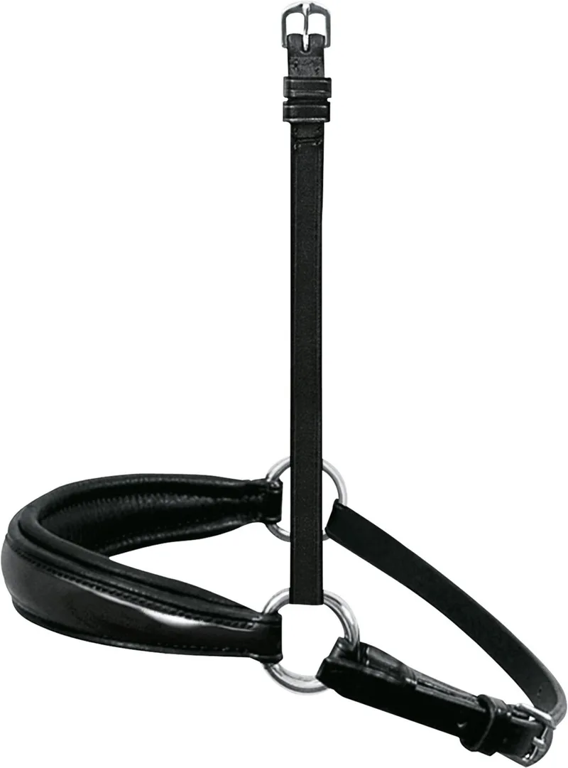 Fantastic Hoofdstel Zwart Cob fra Passier – produktbillede