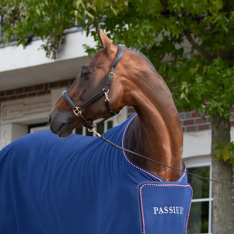 Halster Leer - paard by Passier in Brown – product photo