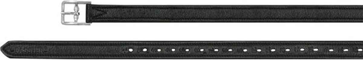 Stijgbeugelriemen met nylon voering 110cm de Passier en Noir – photo produit