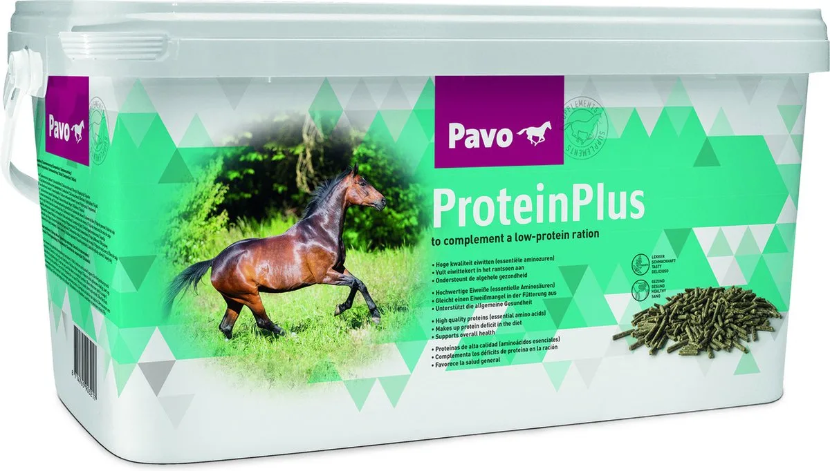 ProteinPlus von Pavo – Produktfoto