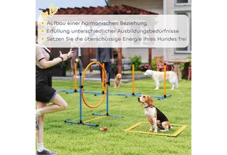 Agility Set Hunde 7-teilig Agility-Ausrüstung für Hundetraining Steckhürdenset mit Slalomstangen Sprunghoop 2 Bälle höhenverstellbar Hürden Koordinationstraining für Spiele Training by PawHut in Blau+Orange – product photo 5 of 5