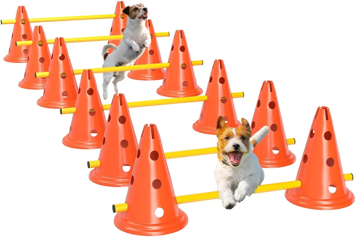 Agility Set voor Honden - Hordenset met 12 Kegels - Hondentraining met Draagtas - Oranje en Geel från PawHut i Orange – produktbild