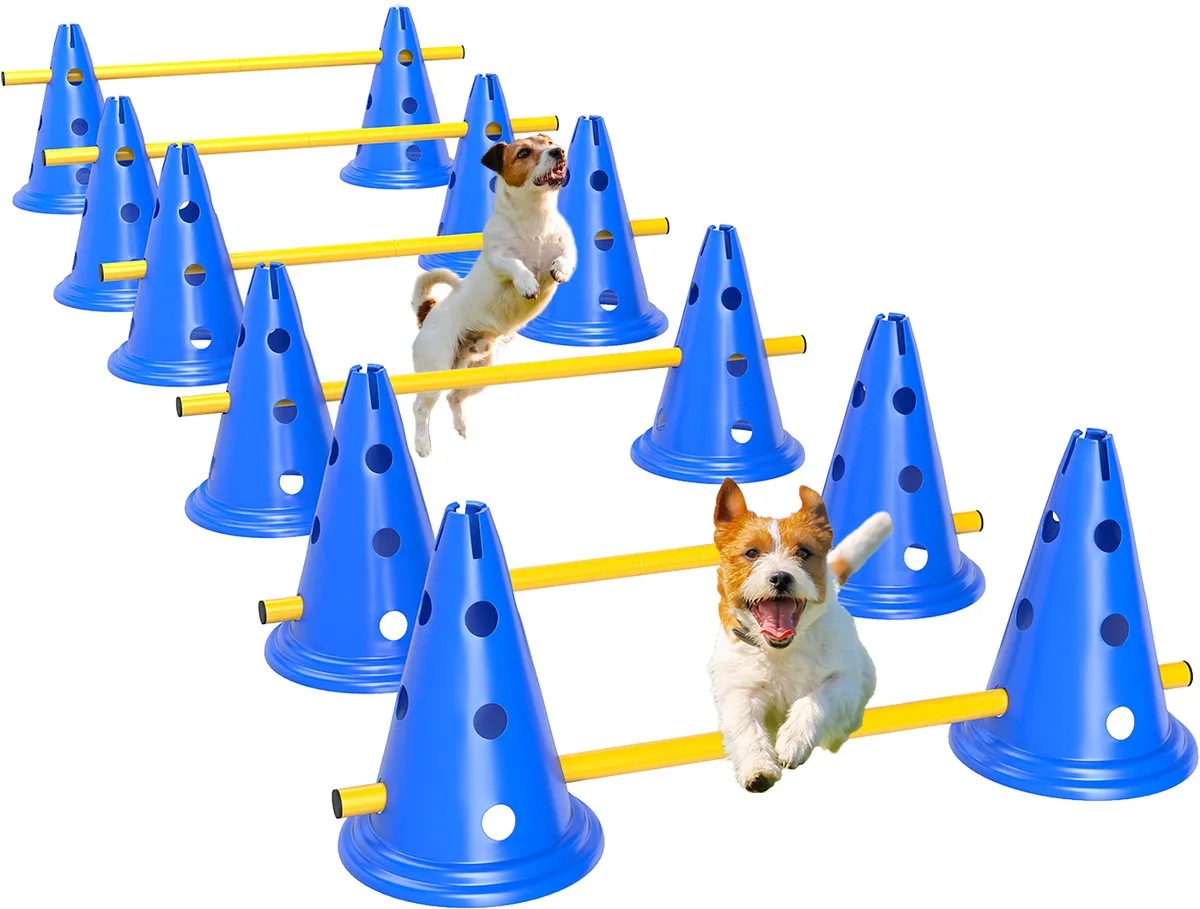 agilityset voor honden 31-delig met draagtas - Hondentraining - Agility hindernisbaan - Slalom set från PawHut i Blå – produktbild
